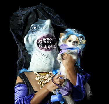 Pet Masquerade and Parade 2011 photo - Duval Street, Key West